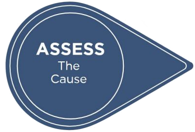 ASSESS The Cause 
